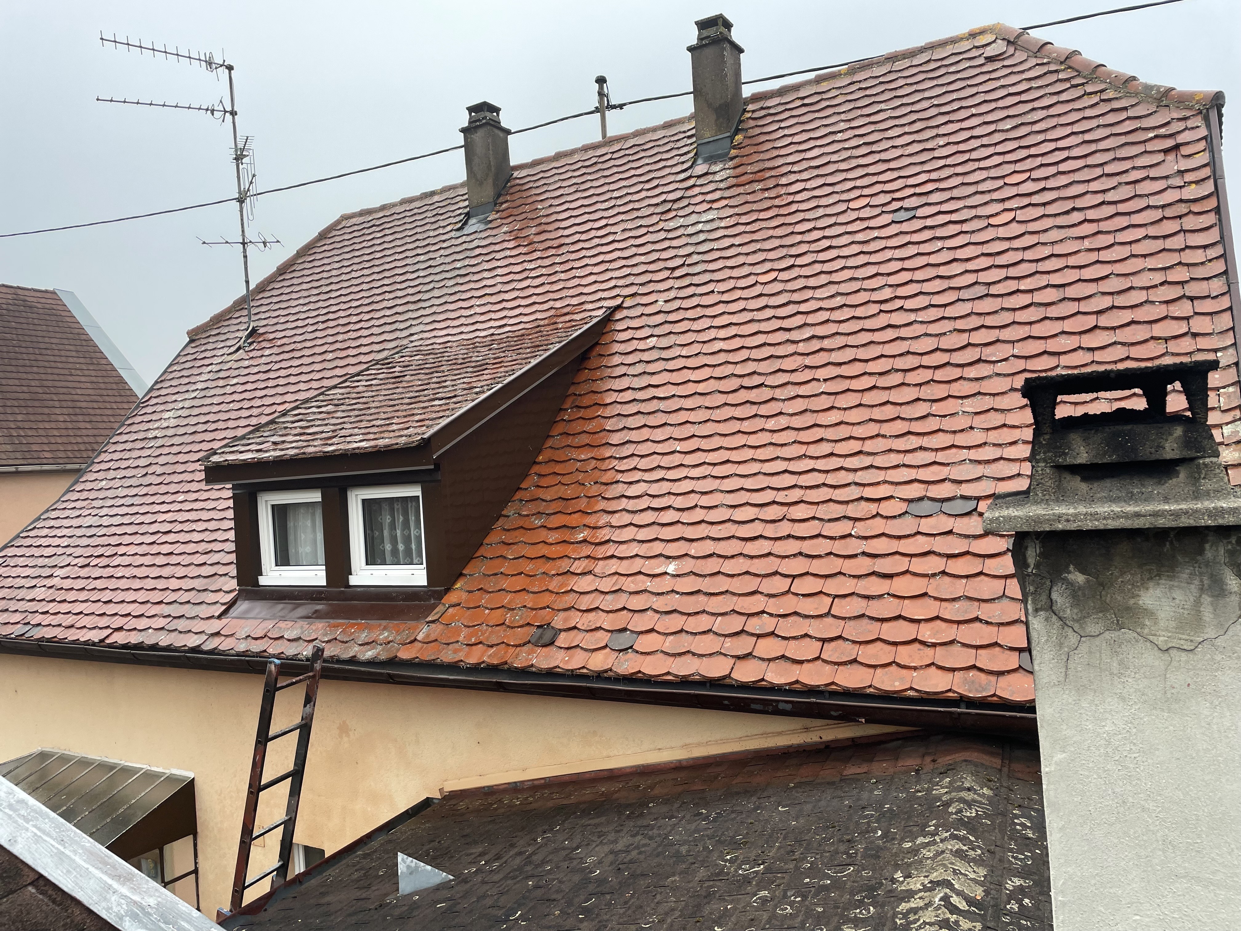 Nettoyage & démoussage de toiture - photo 4