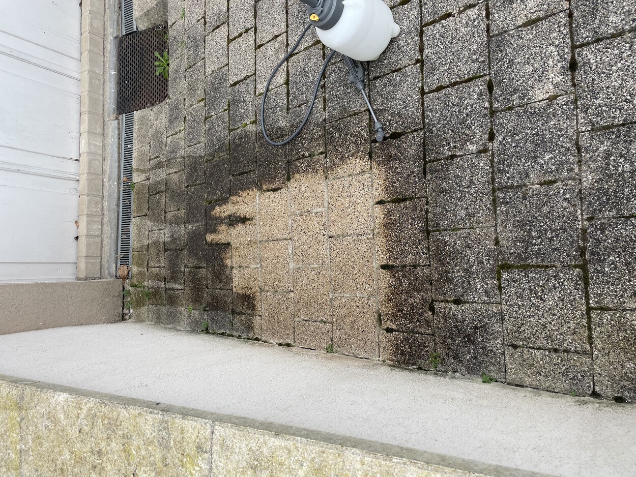 Nettoyage de pavés et rejointoiement d’allée à Illkirch-Graffenstaden